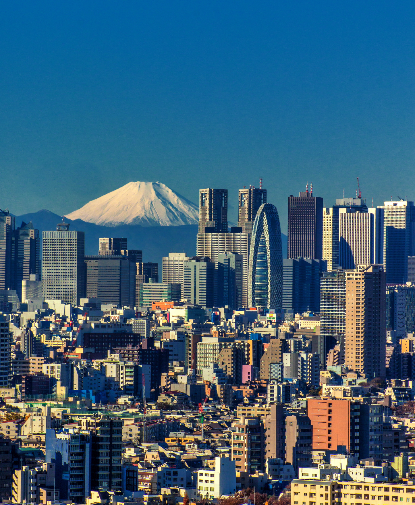 Japan