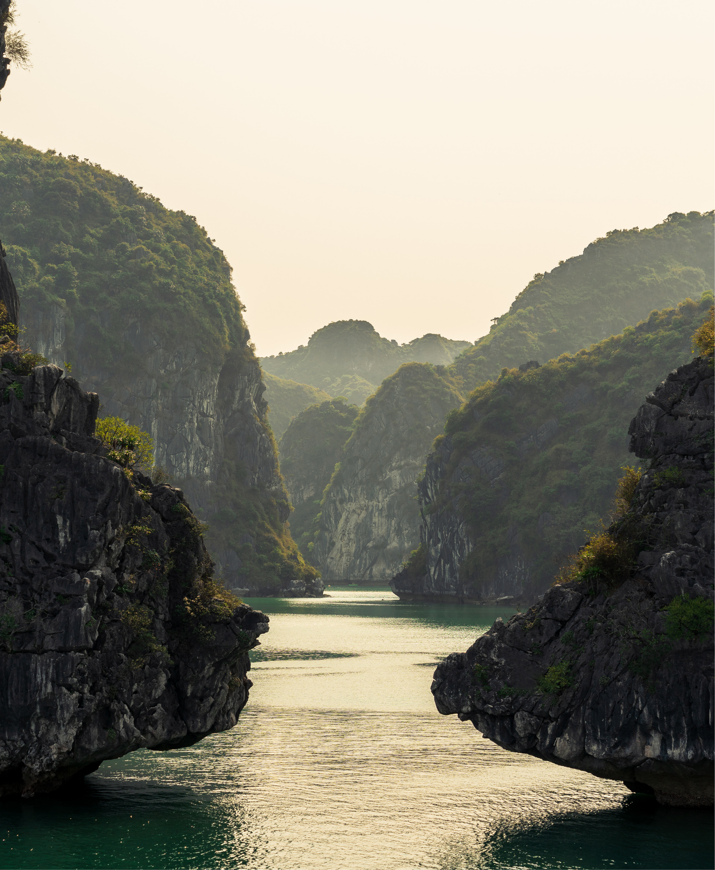 Vietnam